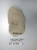 藏品(中型斜刃打製石斧)的圖片